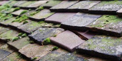 Llanvaches roof repair costs